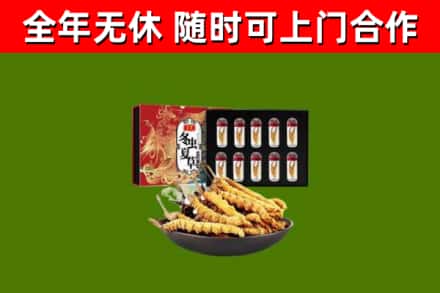 罗湖烟酒回收冬虫夏草礼盒.jpg
